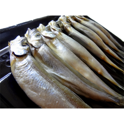 Okada Capelin 5L