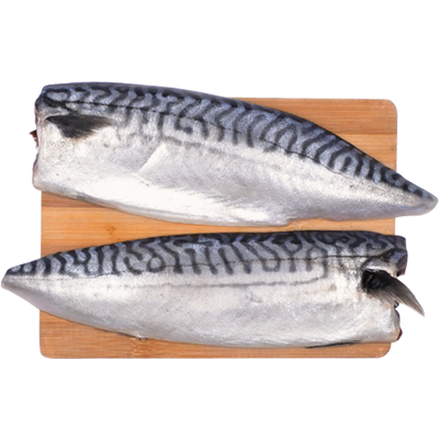 Mackerel L