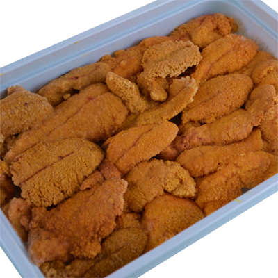 Sea Urchin